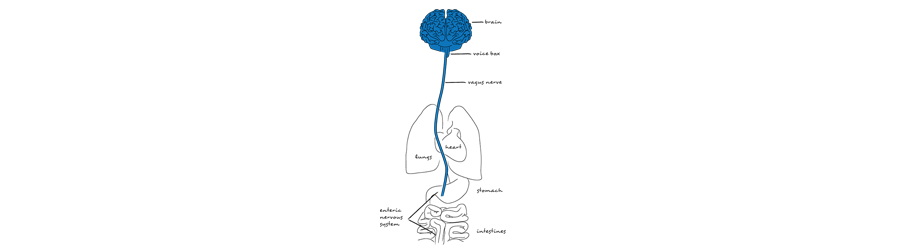 behavioral finance pic illustration