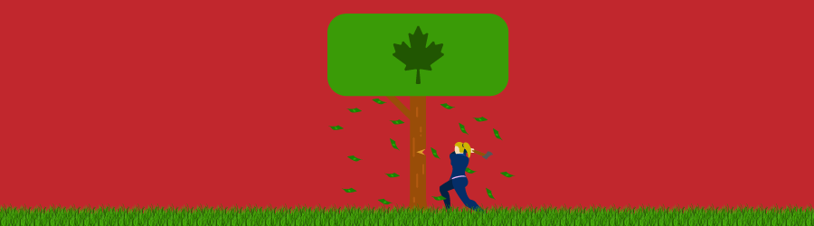 What Is A Maple Bond Illustration