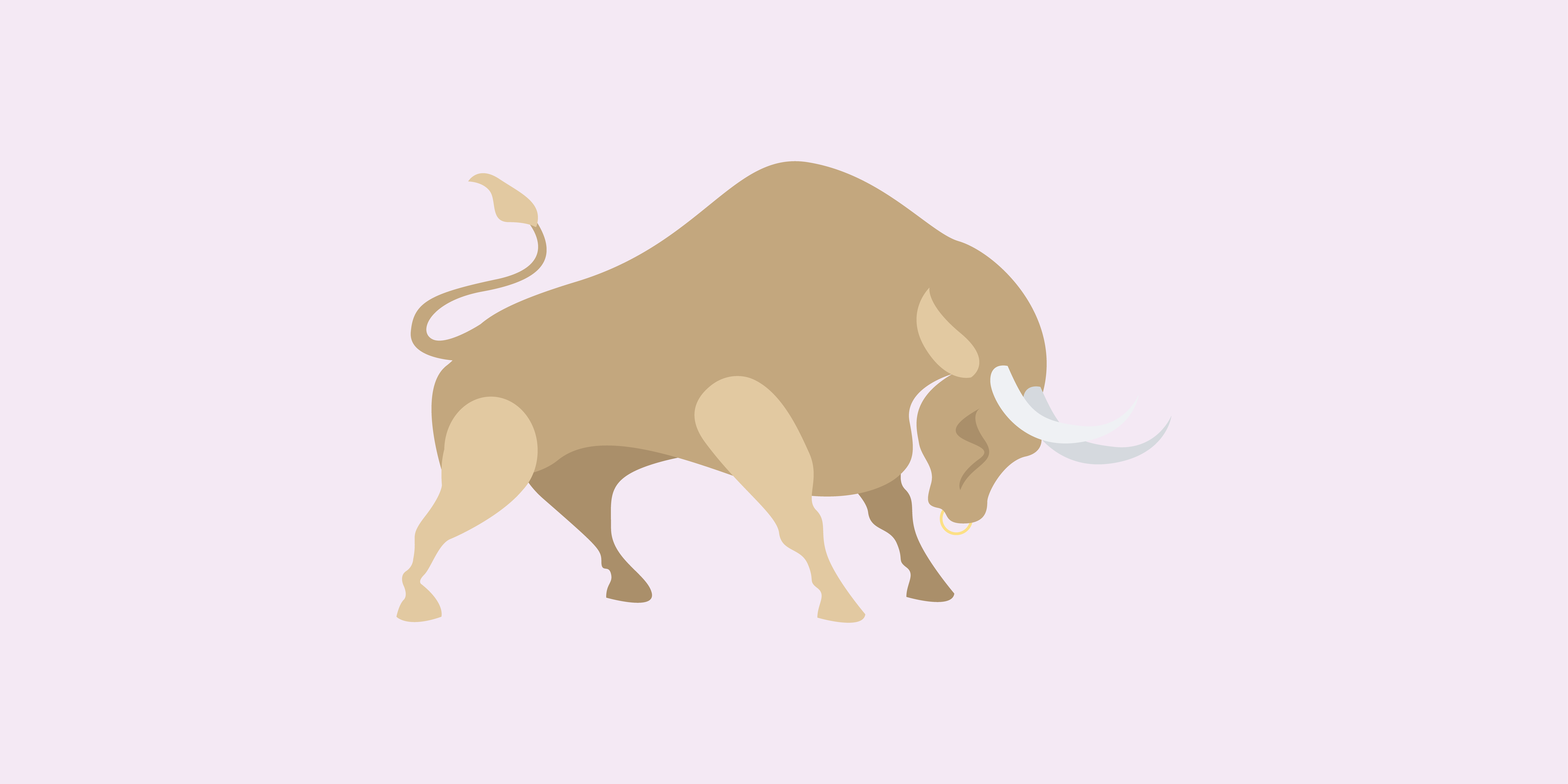 bull illustration