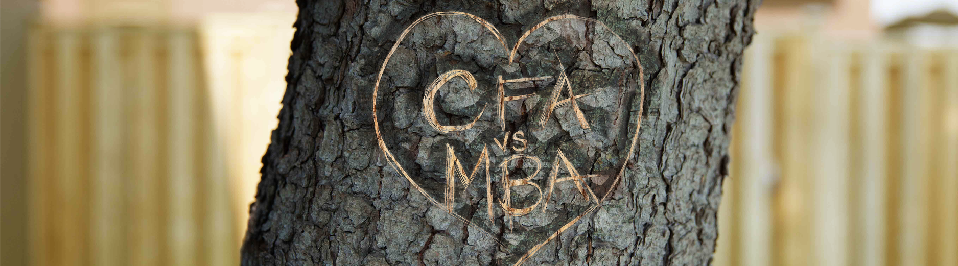 CFA vs MBA: What’s your best option?