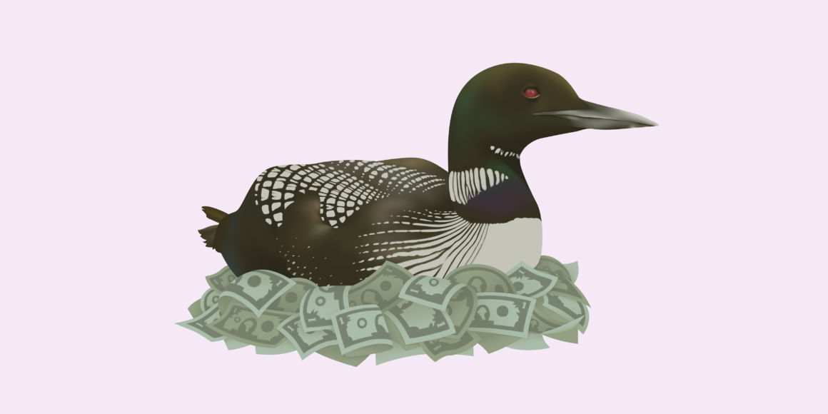This image features a detailed illustration of a loon sitting atop a pile of dollar bills, symbolizing financial wealth and economic factors. The backdrop is a light pastel pink, which contrasts with the dark, patterned feathers of the loon. This visual metaphor highlights topics related to "tariffs" and "what affects currency exchange rates," suggesting how international trade policies and economic dynamics can influence currency values and national financial health.