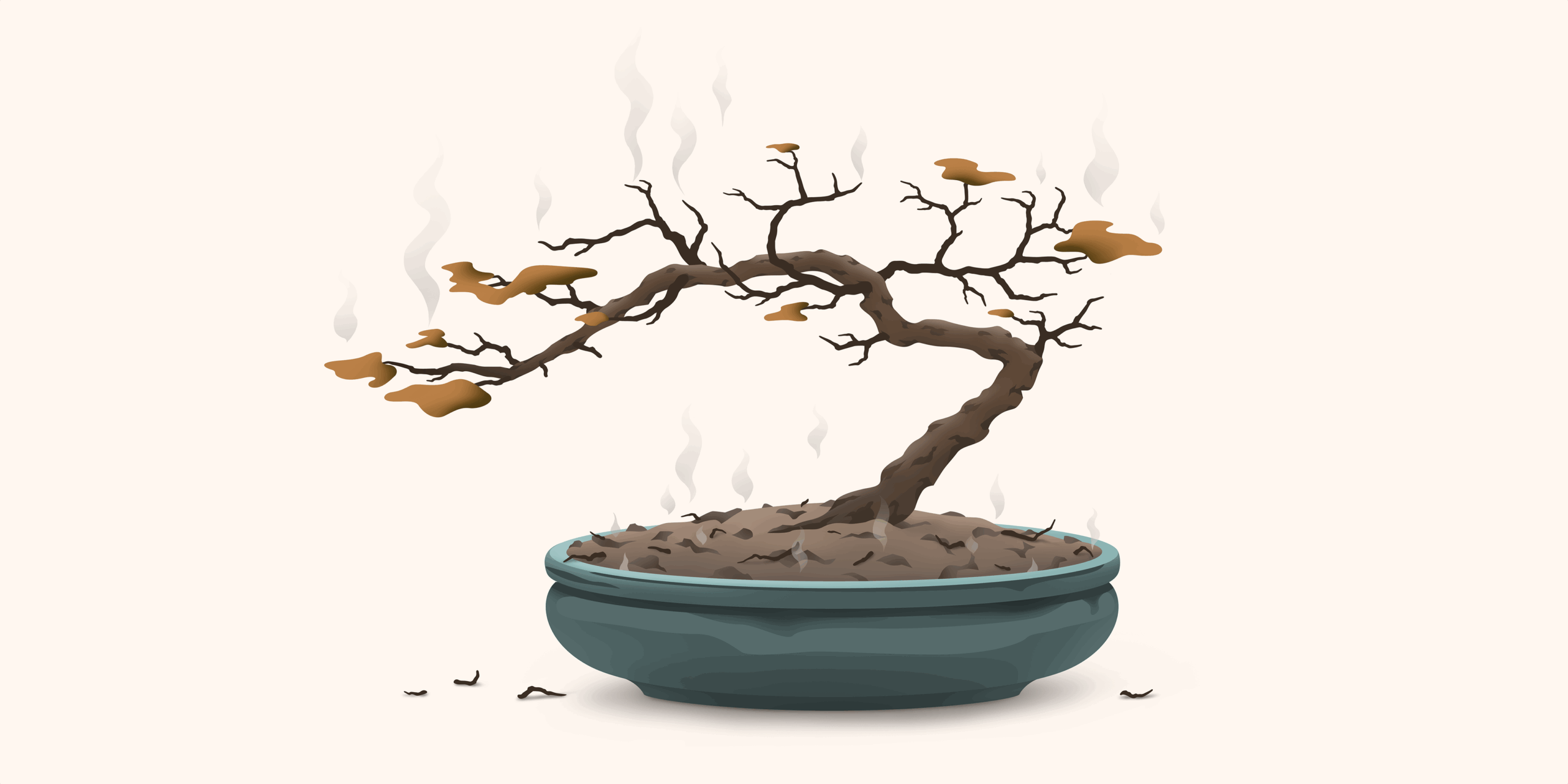 A scorched bonsai tree in a pot with rising smoke, symbolizing climate damage and the urgency of learning how to protect your home from wildfire and extreme weather.
