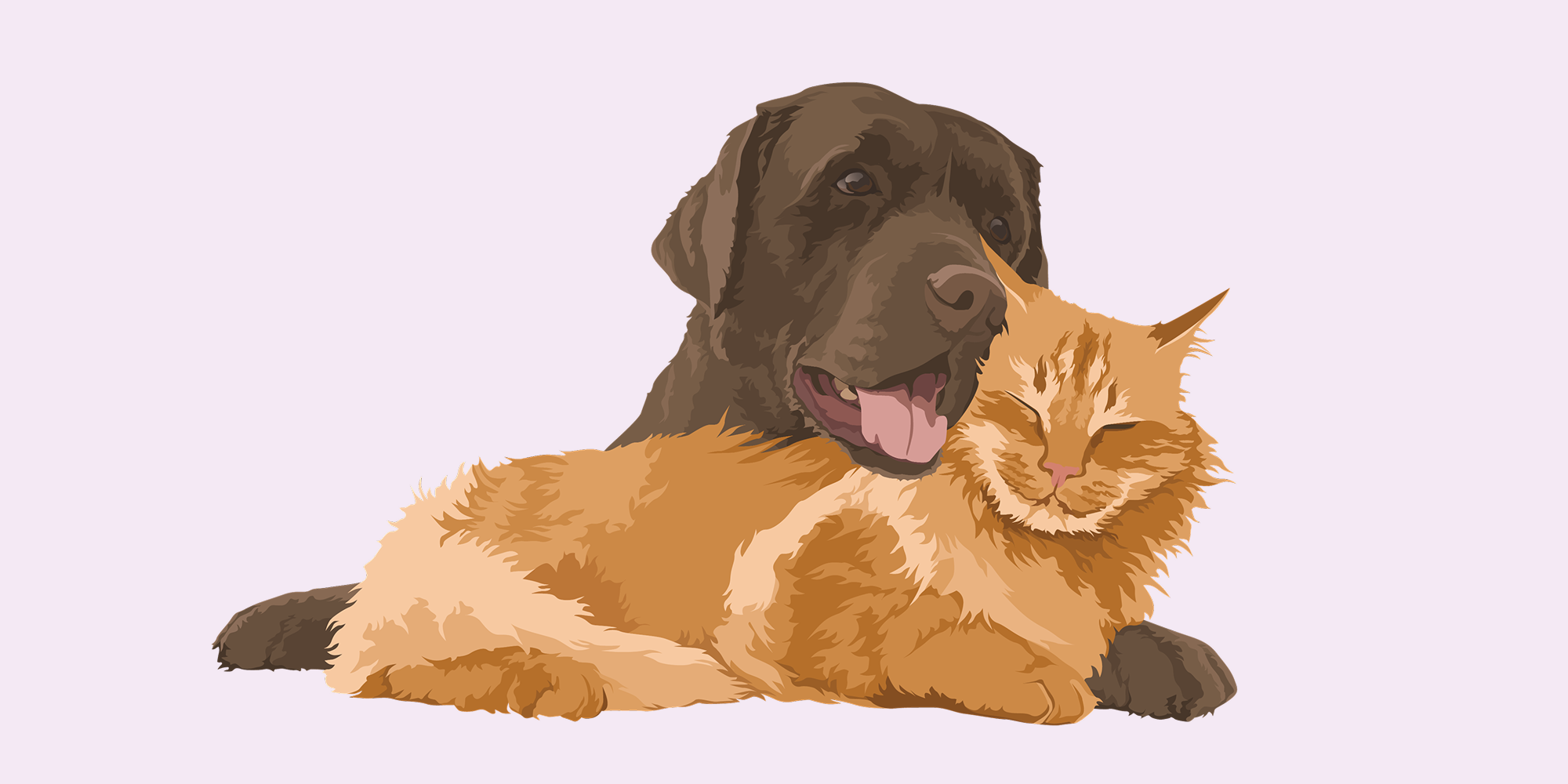 Hand-drawn illustration of a happy dog and relaxed cat cuddling together, showing the bond between pets and the value of protecting them with pet insurance for unexpected vet costs. This was drawn for an article answering the life long question - is pet insurance worth it?