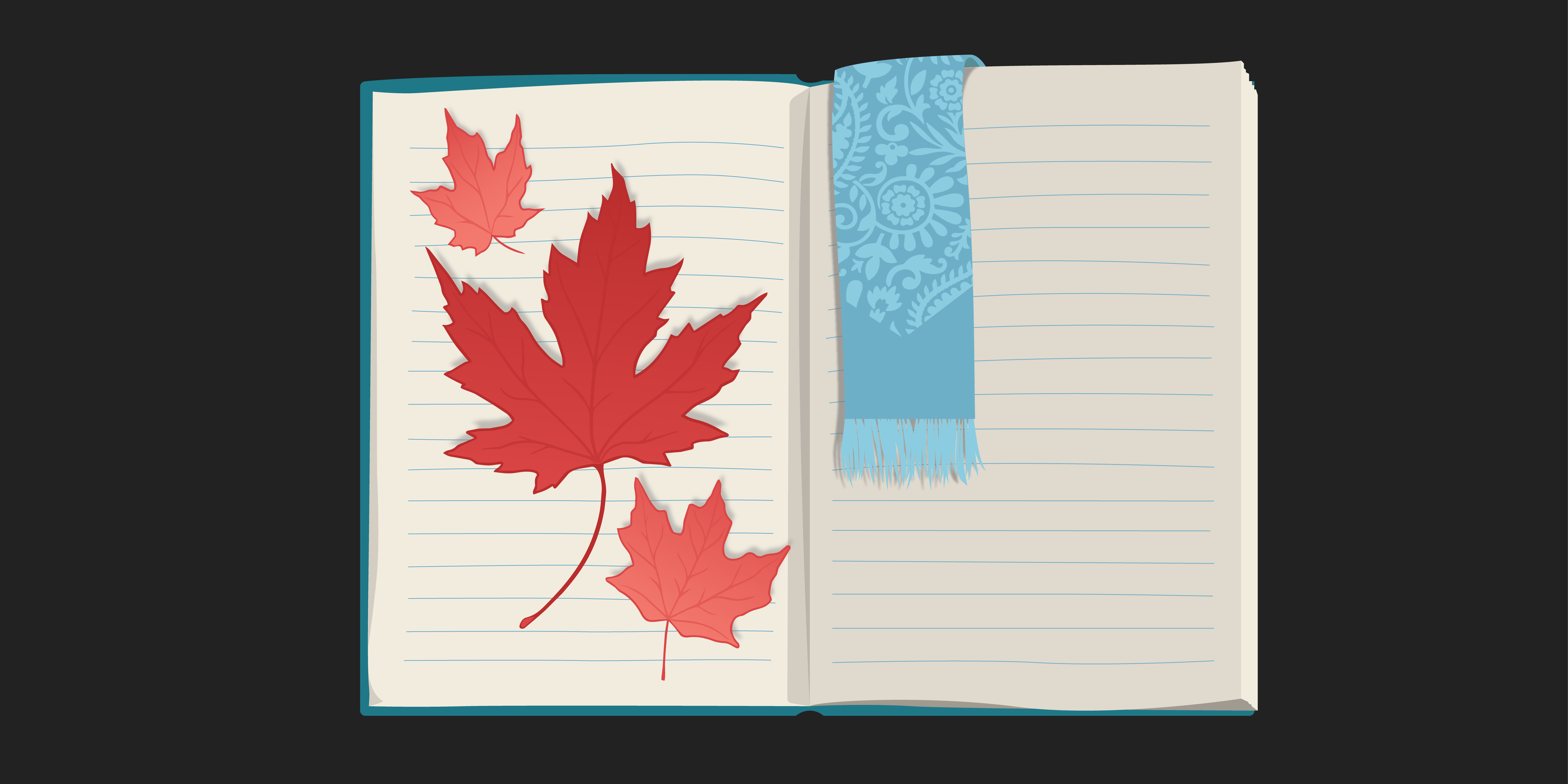 Where did the Canadian capital go? A snapshot of today’s investment landscape