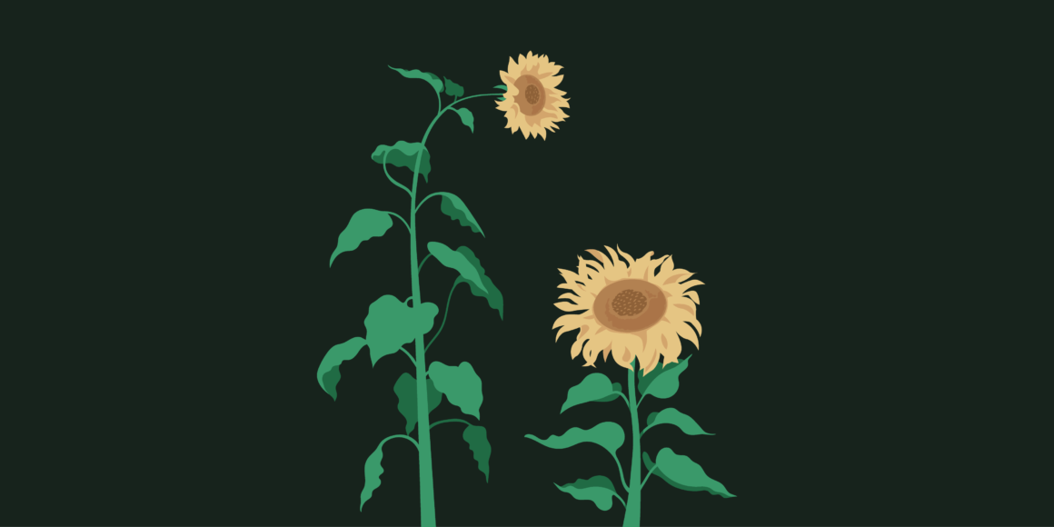 A dark background with two flowers on top. One is long and tall and slightly drooped to the side and one is short and standing up straight. It is used to show the difference between the two markets.
